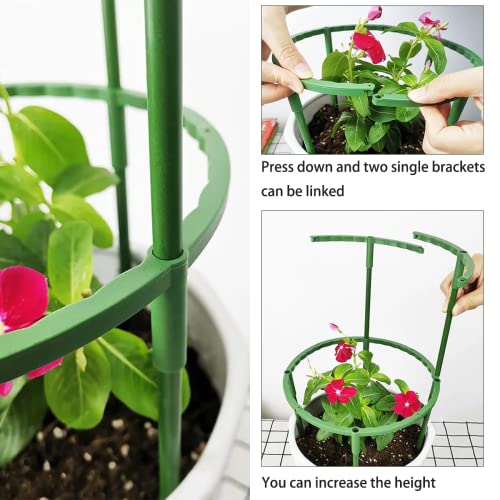 Belit 12 Pack Plant Support Stake, Half Round Plant Support Ring Plastic Plant Cage, Flower Pot Climbing Trellis for Clivia, Roses, Hydrangea, Indoor Plants, 5.5" Wide x 9.8" High - size: 5.5"x9.8"-12 Pack