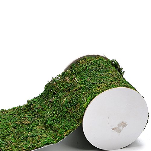 Roll of Green Moss for Fairy Gardens Wedding Other Arts and Crafts (10x120cm (4" W x 48" L)) - size: 10x120cm (4" W x 48" L)