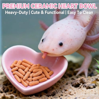 Axolotl Hammock Ledge with Heart-Shaped Ceramic Feeding Bowl - Upgraded Dual Suction Cup Resting Platform - Premium Acrylic Amphibian Tank Accessories for Salamanders, Newts, Geckos & Frogs