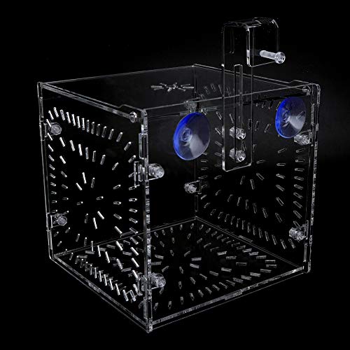 Fish Tank Breeding Box Aquarium Isolation Box High Transparency Adjustable Height Sturdy Acrylic Material for Fish Shrimp Isolation Transparent 15x15x15cm 30x15x15cm 20x20 (15CM*15CM*15CM)
