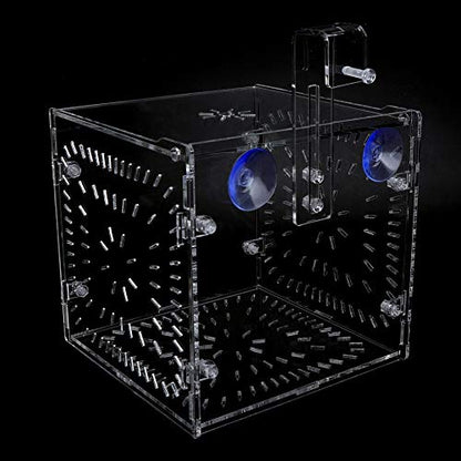 Fish Tank Breeding Box Aquarium Isolation Box High Transparency Adjustable Height Sturdy Acrylic Material for Fish Shrimp Isolation Transparent 15x15x15cm 30x15x15cm 20x20 (15CM*15CM*15CM)