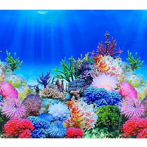 XCNO Aquarium Background Poster Fish Tank Wallpaper, Double-Sided, 12"x 25" | Non-Adhesive Reusable, 3D Sea Anemone Aquatic Plant Picture, Fits 5 Gallon 10 Gallon 20 Gallon Fish Tank Aquarium Decorations - color: Sea Anemone, size: 11.6" x 25" In