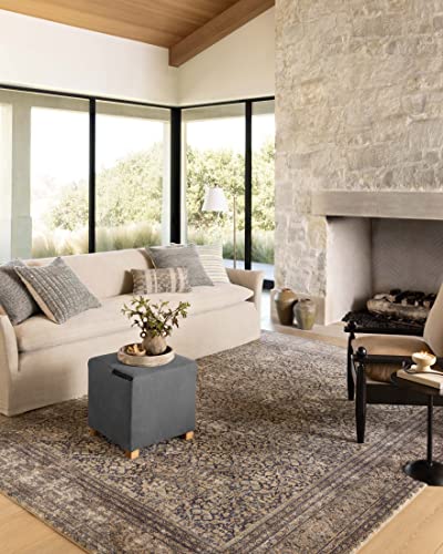 Loloi Amber Lewis Morgan Collection MOG-03 Denim/Multi 8'-3" x 11'-3" 38" Thick Area Rug feat. CloudPile, Neutral, Room Décor, Vintage Inspired, Livingroom, Bedroom, Dining Area - color: Denim / Multi, size: 8'3" x 11'3" (Rectangular)