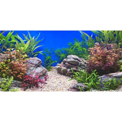 AWERT 48x20 in Aquatic Plant Fish Tank Background Stone Aquarium Backdrop | AWERT River Bed & Lake Vinyl Terrarium Background - size: 48x20in/120x50cm