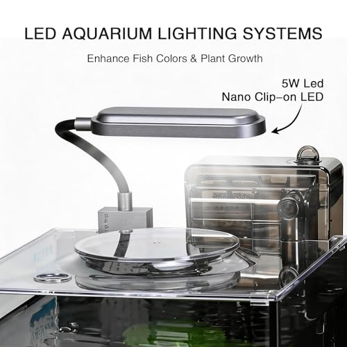 2.2 Gallon Betta Fish Tank, Small Aquarium Kit,Glass Small Fish Tank,Betta Fish Tank with a lid and Light and Filter, Small Transparent Glass Fish Tank with Light and Filter(Black Glass Background) - size: 2.2 Gallon