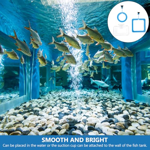 DOITOOL 3pcs Fish Feeder Rings Suction Cup Aquarium Feeding Circles for Tropical Fish Tank Aquarium Feeding Tool