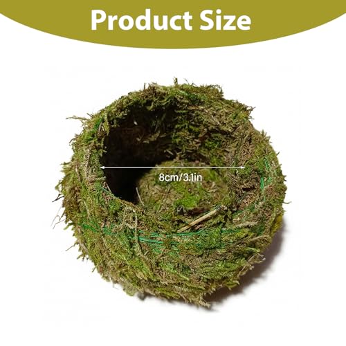 Kokedama Creative Moss Ball Planter 8cm Bowl Planter for Orchids, Bonsai & Air Plants Decorative Indoor Home Garden Decor