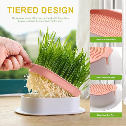 Cat Grass Planter, Hydroponic Cat Grass Kit with Germination Tray, Soil-Free Cat Grass Tray for Indoor Cats, Microgreens Growing Tray, No Seeds Included