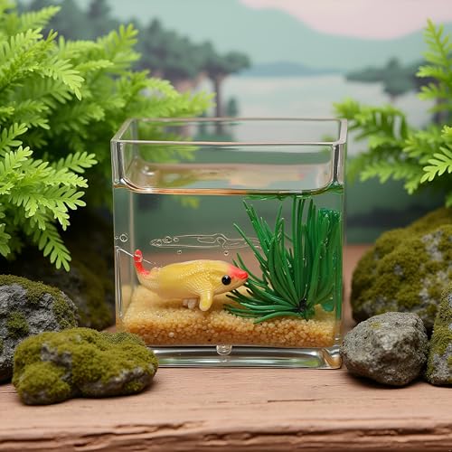 1Pc Square Fish Tank Toy, 1:12 Scale Miniature Dollhoue Accessories, Resin Dollhouse Fish Tank Accessories for Garden Scene Decor