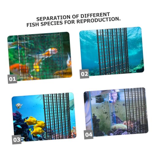 BESPORTBLE 1set Aquarium Divider Isolation Board Transparent Panels Cups for Fish Tank Separation Promotes Peaceful Environment Easy to Install Fits All - color: Black