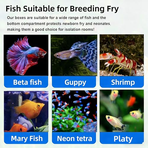 Fish Breeding Box,Breeding Box for Fish Tank,Fish Breeder Box for Aquarium | Triple-Chamber Transparent,With Suction Cups & Hook,Tank for Betta,Guppy,Shrimp,Separator & hatchery