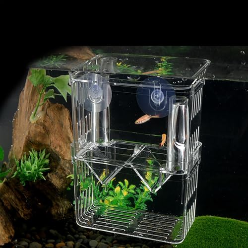 1/2 Fish Acclimation Box - Acrylic Hatchery Incubator Tank, Fish Breeder Box with 2 Suction Cups | Easily Install Breeding Isolation Box, Floating Breeding Box for Baby Fishes Shrimp Betta Guppy - size: Medium