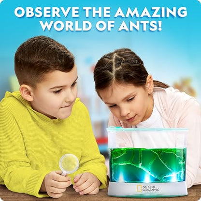 National Geographic Ant Habitat Kit - Light-Up Ant Terrarium with Built-in Magnifiers, Tunnel Starter Tool & More, Ant Activities for Kids, Ant Home, Ant Colony, Ant Habitat, Ant House for Kids - style: Ant Habitat