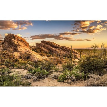Sunset Rock Mountain Aquarium Background Stunning Towering Saguaro Cacti Vibrant Desert Reptile Tank Background Desert Barren Thorns Fish Tank Backgrounds Sunrise Gobi Terrarium Backgrounds 24x16in - color: Brown, size: 24(W)x16(H)in