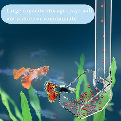 Aquarium Fish Shrimp Feeding Dish Set Clear Fish Feeder Tube and Dish with Cleaning Brush and Measuring Spoon for Feeding Shrimp and Preventing Food Scattering Feeding Supplies for Shrimp Large - size: Large