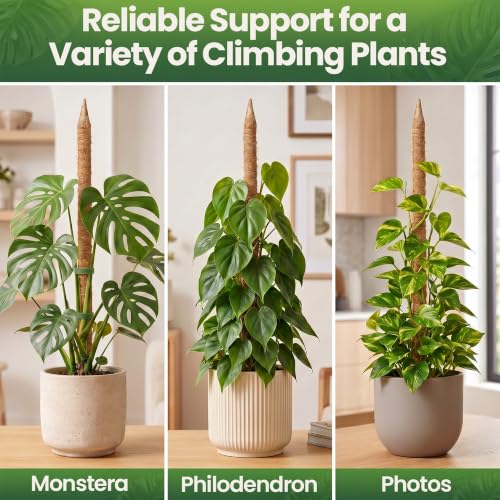 K-Brands 48'' Bendable Moss Pole Monstera Plant Support - Coconut Palm Fiber - Brown - Rectangular - Climbing Plant Support Structure - size: 1-Pack (48 in)