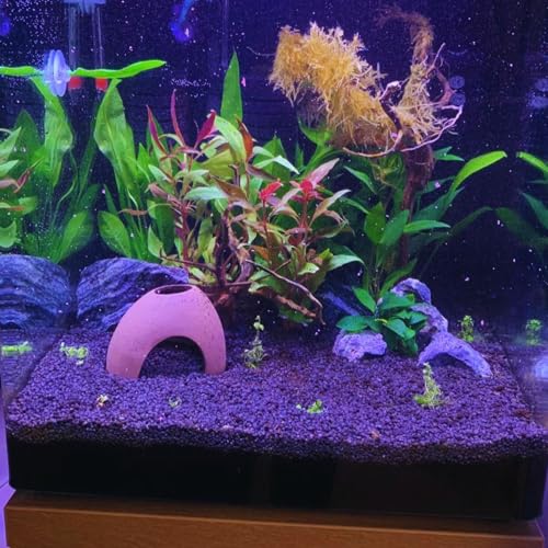 Saim Aquarium Decorations Ceramic Cave,Betta Fish Tank Accessories for Betta Fishes Shrimp Shelter Breeding Tube Hiding, Aquatic Pets to Rest, Betta Fish Toys
