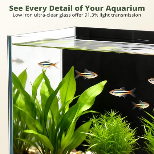 2.5 Gallon Small Fish Tank, Nano Aquarium with Ultra-Clear Glass, LED Light, Filter, Lid, Gravel and Rock, Desktop Beta Fish Aquarium Perfect for Shrimp, Snails or Live Plants