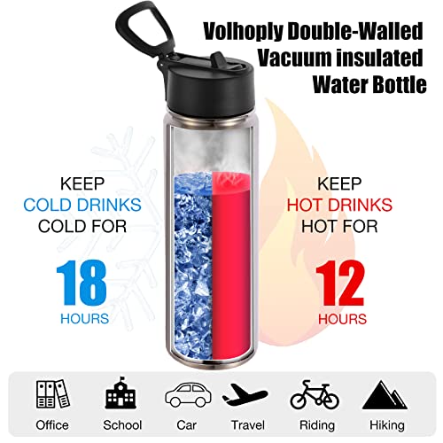 Volhoply Insulated Water Bottles with Straw Bulk 4 Pack, 22 oz Stainless Steel Sports Bottle with Handle Lid, Double Walled Vacuum Travel Water Cups with Wide Mouth for School Hiking(Silver,4 Set) - color: Silver