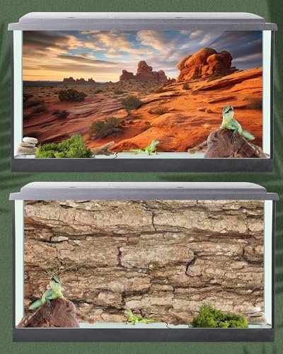 Breling 4 Pcs 36 x 18'' Reptile Tank Background 30/40/50 Gallon Bearded Dragon Terrarium Background Decor Polyester Reptile Tank Accessories for Leopard Gecko, Crested Gecko, Tortoises - size: 36 x 18 Inch