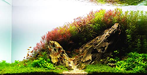Ohko Dragon Stone Rock Mixed Sizes (20 LBS) - size: 20 LBS