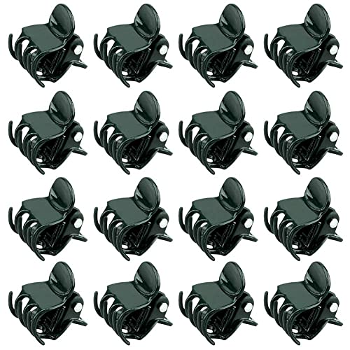Plant Orchid Clips,100 Pcs Plant Clips | Dark Green Plant Orchid Support Clips with Box,Garden Orchid Clips for Supporting Stems Vines Stalks Grow Upright