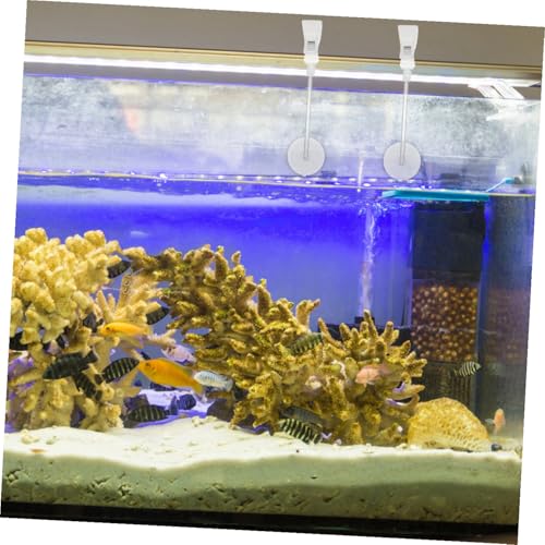 BESPORTBLE 3pcs Adjustable Cup Clips for Fish Tank Versatile Veggie Holder -Resistant Design Effortless Installation for Securing Aquarium Accessories Quick Setup