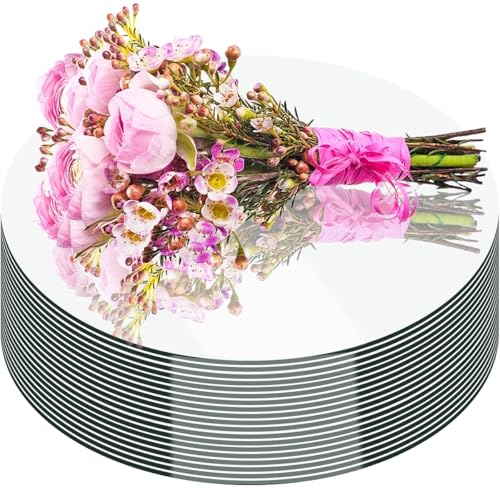 18PCS Round Mirror Tray for Table Centerpieces No Glass Acrylic Circle Wall Mirror 10" Candle Plate Mirror Tiles for DIY Crafts Wedding Birthday Christmas Party Decorations (10inch) - size: 10inch/25cm