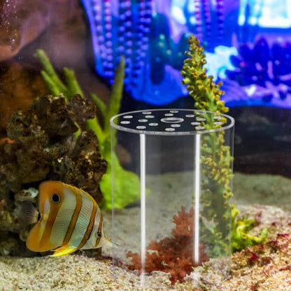 DONGKER Coral Feeder Cover, Transparent Acrylic Coral Breeding Protection Cover Avoid Food Floating Around for Aquarium Fish Tank(80mm,100mm,120mm) - size: CFC-80