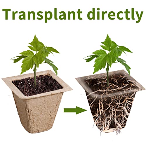 200 Cells Seed Starter Tray, 20 Pack Biodegradable Seed Starter Kit, Peat Pots for Seedlings with 200 Plant Labels, 2 Seed Planting Tool and 1 Spray Bottle