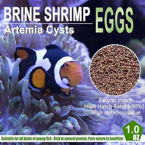 Bubble Magus Brine Shrimp Eggs/sea Monkey Eggs/Live Fish Food/Fairy Shrimp Egg Artemia high Protein Fish Food for brine Shrimp Hatchery 、 Clownfish Food 、 Reef roids Coral Food 、Feeder Guppies、beta - size: 1 Ounce (Pack of 1)