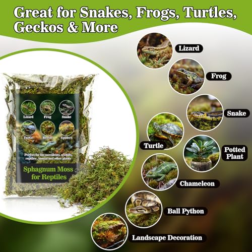 Sukh Sphagnum Moss for Reptiles - 5.5 OZ Reptile Peat Moss Terrarium Bedding Reptiles Lizard Substrate for Reptile Tank, Snake, Leopard Gecko, Ball Python, Crested Gecko, Turtle, Frog, Hamster - size: 5.5 Ounces