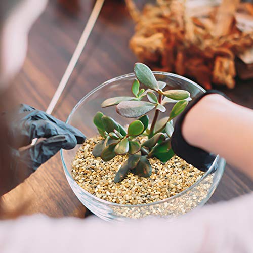 5 lb Coarse Sand Stone - Succulents and Cactus Bonsai DIY Projects Rocks, Decorative Gravel for Plants and Vases Fillers，Terrarium, Fairy Gardening, Natural Stone Top Dressing for Potted Plants. - size: 5 LB