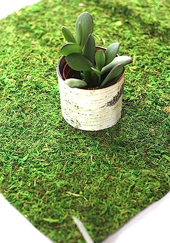 Preserved Moss Runner and Mats (18in x 16in mat) - color: 18in X 16in Mat