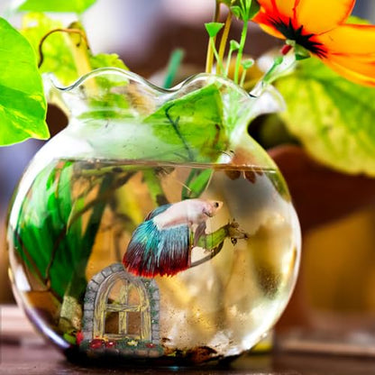 Fairy Garden Accessories Mini Aquarium Planters - Crystal Glass Aquatic Plant Holder with Suction Cups, Fish Tank Decor for Betta, Shrimp, Terrariums, Succulents, Random Assorted (4Pcs)