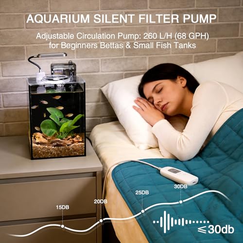 2.2 Gallon Betta Fish Tank, Small Aquarium Kit,Glass Small Fish Tank,Betta Fish Tank with a lid and Light and Filter, Small Transparent Glass Fish Tank with Light and Filter(Black Glass Background) - size: 2.2 Gallon