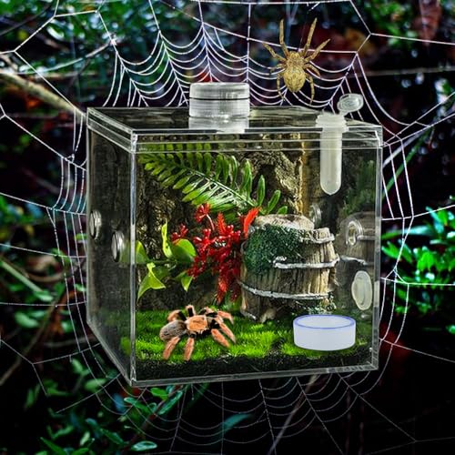 6 Pack Tarantula Ceramic Feeding Bowl Hermit Crab Water Bowl Spider Small Reptile Micro Ceramic Food Dish (1.37" D, 0.51" H)