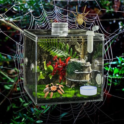 6 Pack Tarantula Ceramic Feeding Bowl Hermit Crab Water Bowl Spider Small Reptile Micro Ceramic Food Dish (1.37" D, 0.51" H)