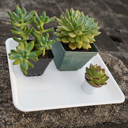 VUWEZ Plant Saucer Growing Tray, Seed Starter Tray Rectangular, Heavy Sturdy Plastic Plant Saucers Drainage Trays, Plant Drip Trays for Pots, Seed Starter Growing Pots (11 x 9 inch, 2 Pack) - color: Creamy White, size: 11'' x 9'' x 1.2'' (2 pack)