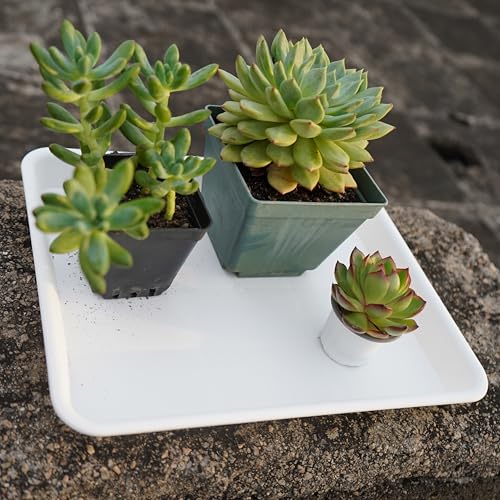 VUWEZ Rectangle Plant Tray, Plant Drip Tray, Plant Pot Saucers, Plant Germination Trays, Plant Saucers, 14.5'' x 11'' x 1.5'' (2 pack), Creamy White - color: Creamy White, size: 14.5'' x 11'' x 1.5'' (2 pack)
