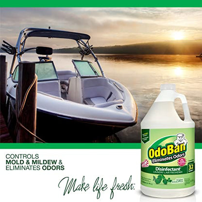 OdoBan Disinfectant Concentrate and Odor Eliminator, Made in the USA, Original Eucalyptus Scent, 2 Gallons - size: 128 Fl Oz (Pack of 2)