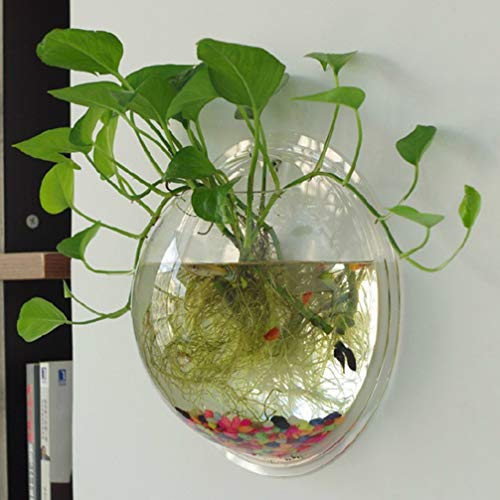 iplusmile Wall Mounted Fish Bowl 5.90 Inch Acrylic Hanging Aquarium Tank Transparent Fish Tank Home Decor Space Saving Design - size: 6 Inch