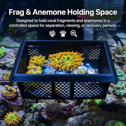 Floating Coral Basket for Reef Tanks (4x6 inch), Anemone and Frag Isolator Cup Mount, Saltwater Aquarium Safe
