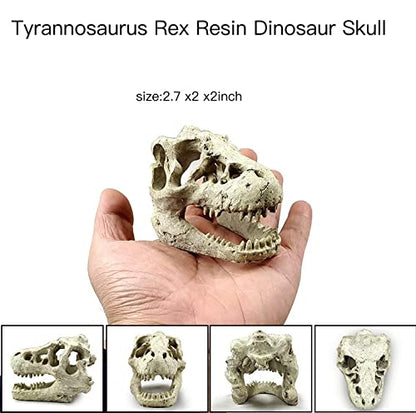 AWXZOM Desert Reptile Decor Skull Fish Tank Decorations Bearded Dragon Accessories Desert Reptile Decor Bearded Dragon Decor, Snake Tank Decor (Cattle+ Dinosaur)