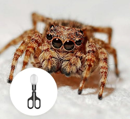 5PCS Reptile Feeding Clamps, Reptile Scoop for Poop, Cleaning Tools for Cage Fish Tank, Feeding Tools for Reptile, Hamsters, Lizard Gecko Snakes Bearded Dragon and Other Small Animals Supplies