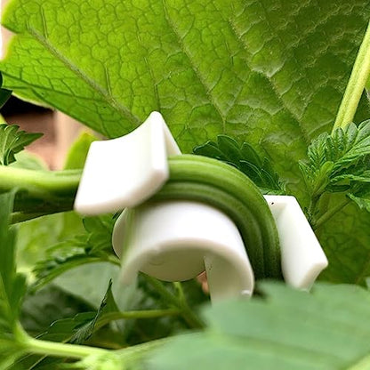 Booge 40 Pcs Low Stress Training Clips, 90 Degrees Plant Trainer Bud Plant Bender Plant Training Clips Bud Bender for Plant Gardening - White and Green - color: 40 Pcs White and Green