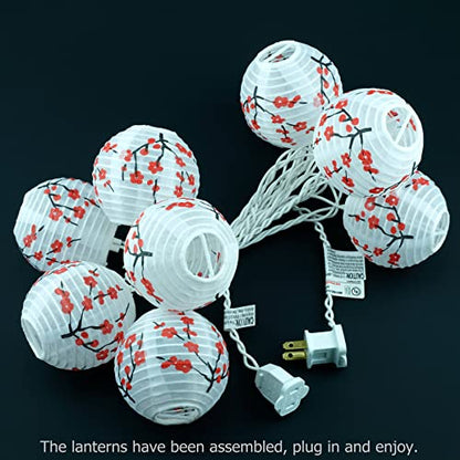 HOSY 10-Pack Plum Blossom 3-in Lanterns, 11 ft White Wire UL String Lights | Self-assembly Required, Nylon Fabric, 3-in Diameter, 12-in Spacing, End-to-end Connectable, UL Certified - color: Plum Blossom