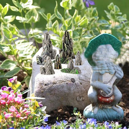 8pcs Mini Resin Rockery Model Garden Decoration Indoor Bonsai Mountain Aquarium Decor Miniature Landscaping Statue for Terrariums and Fairy Gardens