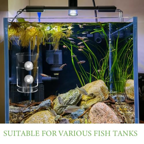 Wakauto Aquarium Fish Feeder Cup with Suction Cups Portable Fish Tank Feeding Ring for Shrimp Anti-Drift Sinking Design Aquarium Accessory for Freshwater and Saltwater Tanks