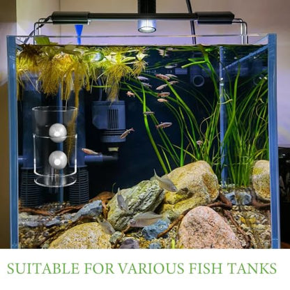 Wakauto Aquarium Fish Feeder Cup with Suction Cups Portable Fish Tank Feeding Ring for Shrimp Anti-Drift Sinking Design Aquarium Accessory for Freshwater and Saltwater Tanks